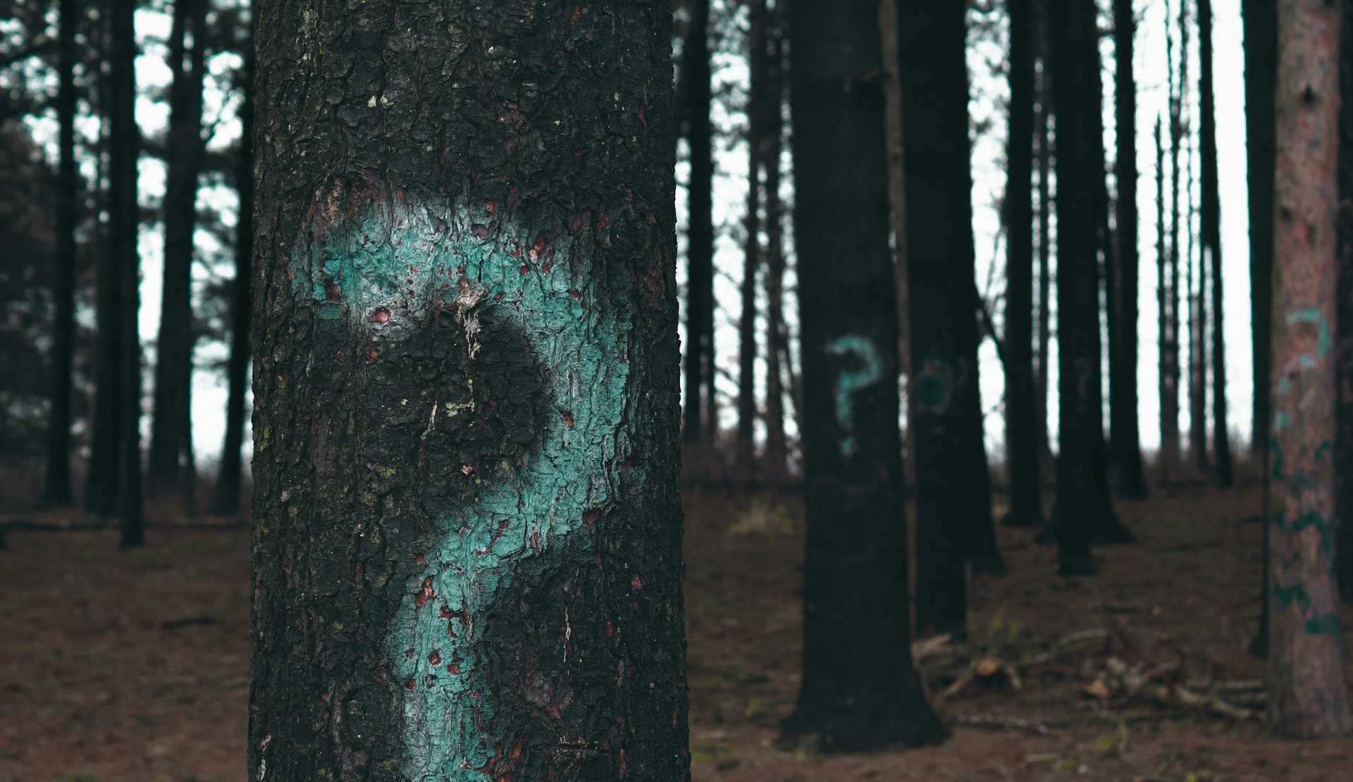 Questions to Ask of your SaaS Provider featured image