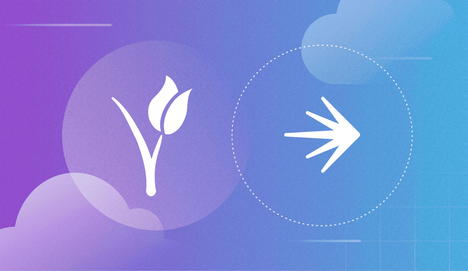 1-800-FLOWERS.COM, Inc. Migrates to the Cloud Seamlessly with LaunchDarkly  featured image