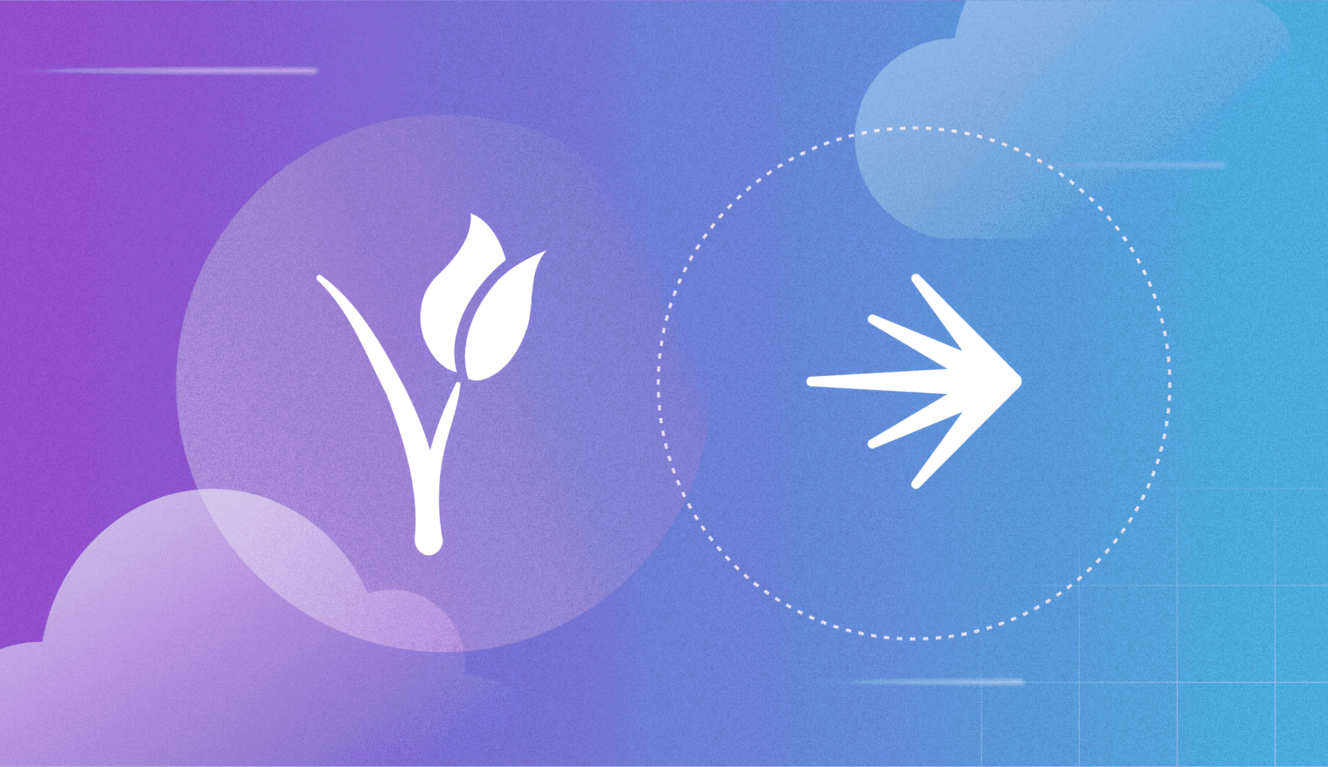 1-800-FLOWERS.COM, Inc. Migrates to the Cloud Seamlessly with LaunchDarkly  featured image