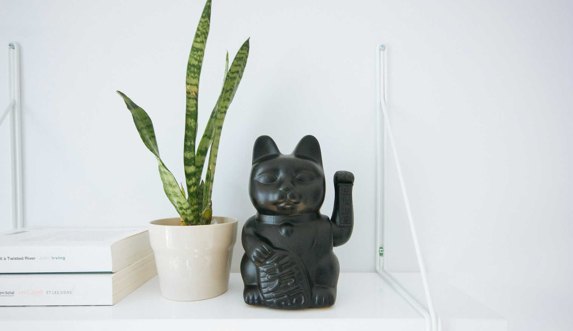 Konmari Your Code Base featured image